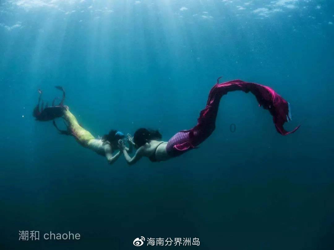 深圳市2024年海外经贸交流会举办