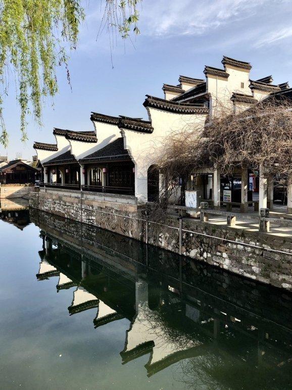 《长歌行》中，小五惨死的原因是啥?